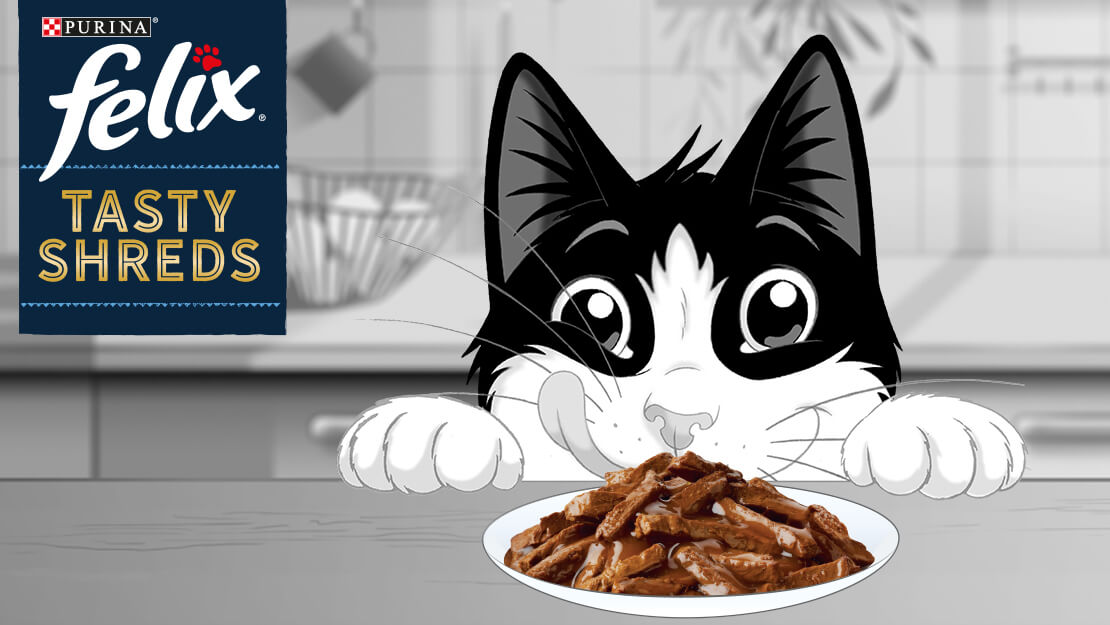 Felix Tasty Shreds