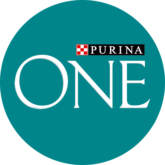 Purina ONE® kakis logo