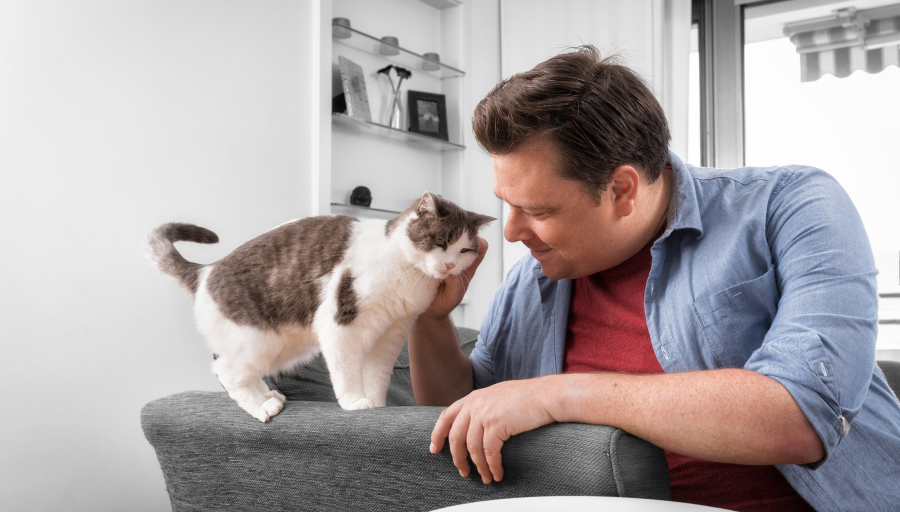 Vīrietis glāsta kaķa seju, kamēr kaķis stāv uz dīvāna roku balsta