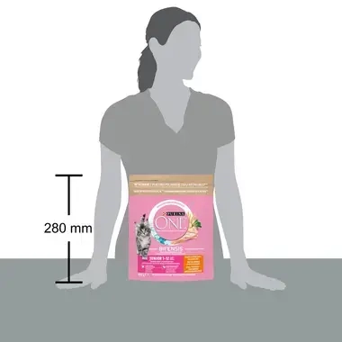 Sausā barība kaķēniem PURINA ONE® JUNIOR, bagātināta ar vistas gaļu