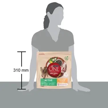 Sausā barība mini/maza škirņu suņiem ar aktīvu dzīvesveidu PURINA ONE® MINI/SMALL ACTIVE, bagātināta ar vistas gaļu un rīsiem