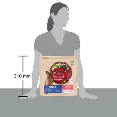 Sausā barība mini/maza škirņu pieaugušiem suņiem PURINA ONE® MINI/SMALL ADULT, bagātināta ar liellopu gaļu un rīsiem