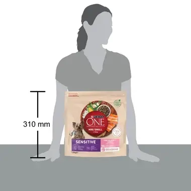 Sausā barība mini/maza šķirņu suņiem ar jutīgu gremošanas sistēmu PURINA ONE® MINI/SMALL SENSITIVE, bagātināta ar lasi un rīs