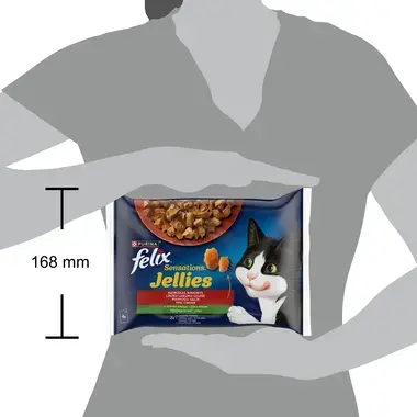 FELIX SENSATIONS Countryside Selection kompleksā dzīvnieku barība 4x85g