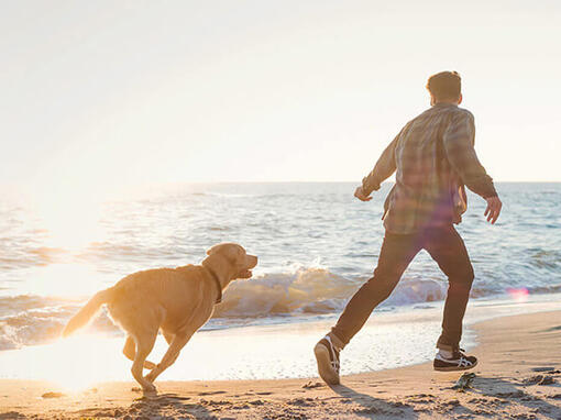 Vīrietis un suns skrien pa pludmali