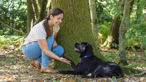 Sieviete notupās ar suni pie koka