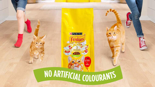 Friskies kaķu barība