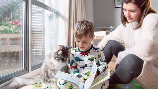 Zēns ar kaķi lasa grāmatu
