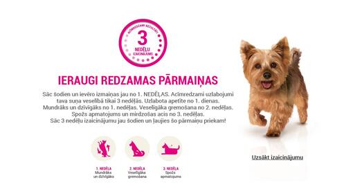 Uzņemies Purina ONE 3 nedēļu izaicinājumu