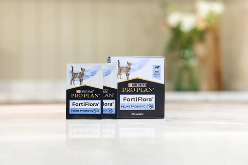 Fortiflora produkti kaķiem
