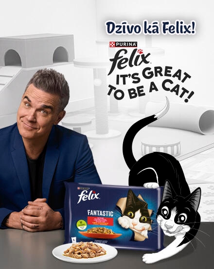 Felix. It's Great To Be a Cat!