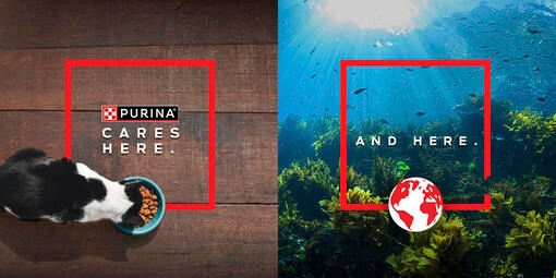 PURINA EUROPE OKEĀNA ATJAUNOŠANAS PROGRAMMA