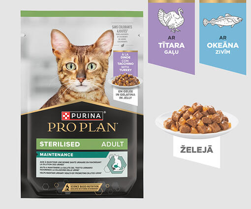 Maintenance mitrā barība