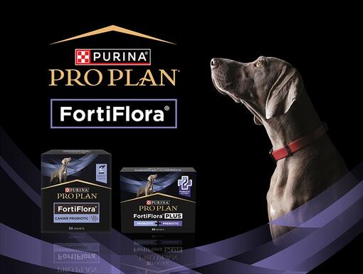 PRO PLAN FortiFlora