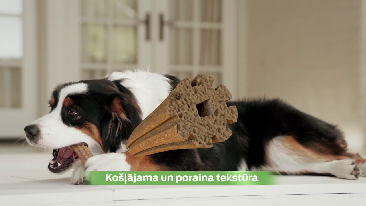 Purina Dentalife - Ikdienas rūpes mutes higiēnai