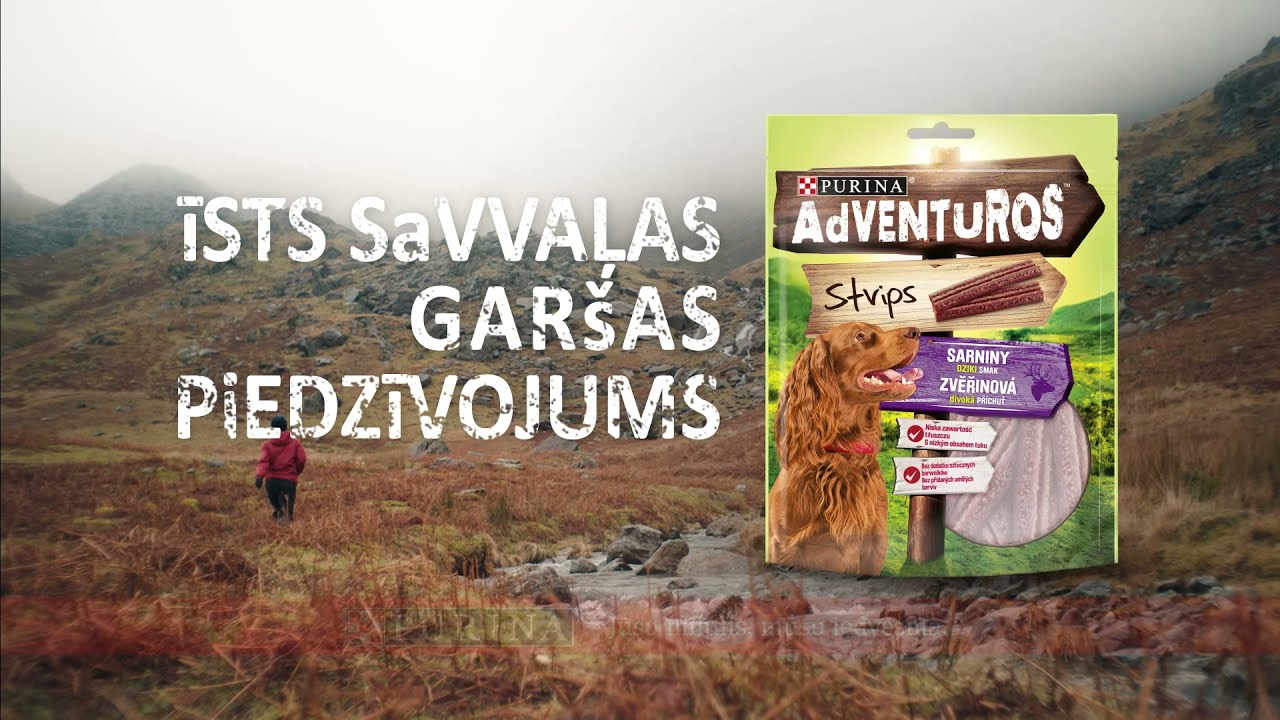 New Purina Adventuros Treats